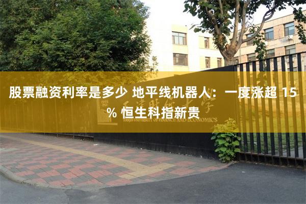 股票融资利率是多少 地平线机器人：一度涨超 15% 恒生科指新贵