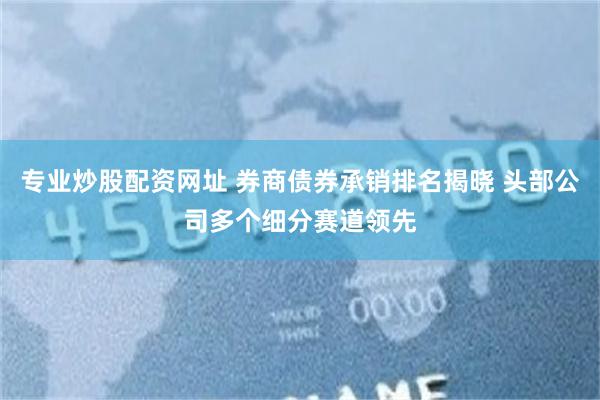 专业炒股配资网址 券商债券承销排名揭晓 头部公司多个细分赛道领先
