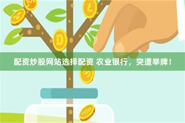 配资炒股网站选择配资 农业银行，突遭举牌！