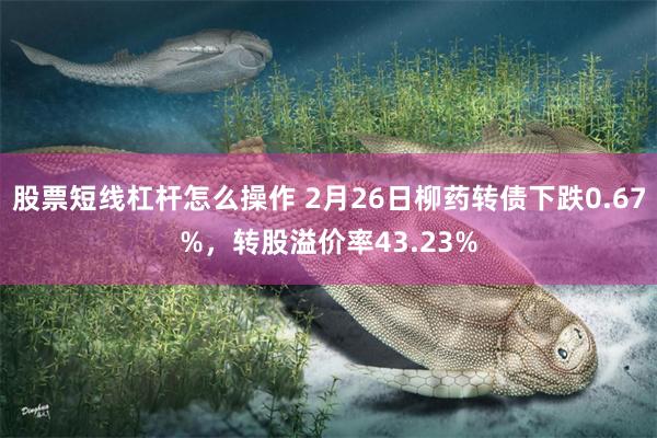 股票短线杠杆怎么操作 2月26日柳药转债下跌0.67%，转股溢价率43.23%