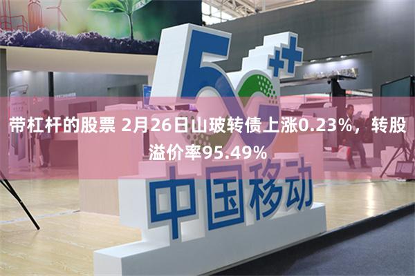 带杠杆的股票 2月26日山玻转债上涨0.23%，转股溢价率95.49%