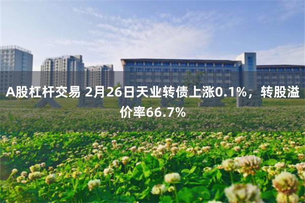 A股杠杆交易 2月26日天业转债上涨0.1%，转股溢价率66.7%