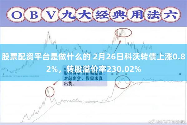 股票配资平台是做什么的 2月26日科沃转债上涨0.82%，转股溢价率230.02%