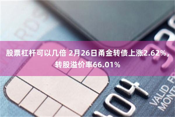 股票杠杆可以几倍 2月26日甬金转债上涨2.62%，转股溢价率66.01%