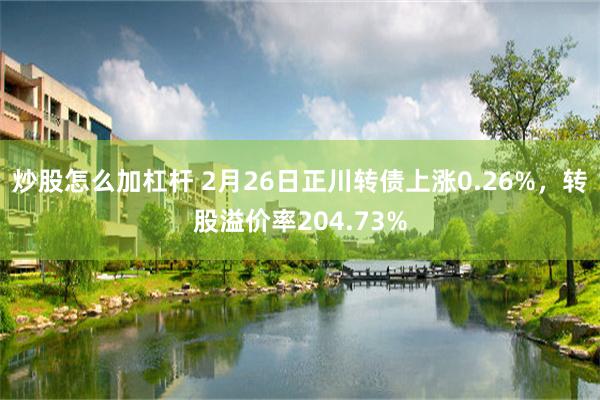 炒股怎么加杠杆 2月26日正川转债上涨0.26%，转股溢价率204.73%