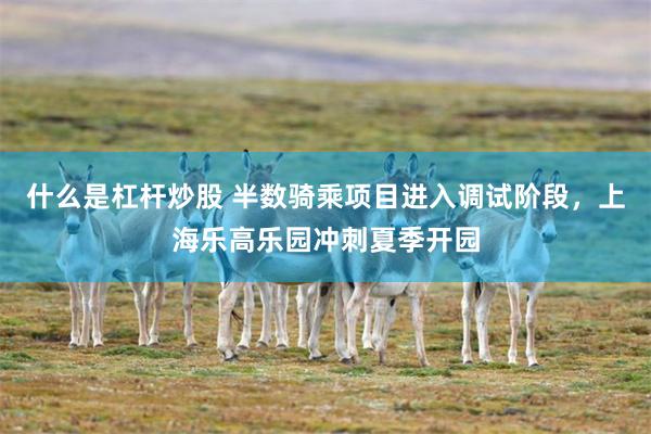 什么是杠杆炒股 半数骑乘项目进入调试阶段，上海乐高乐园冲刺夏季开园