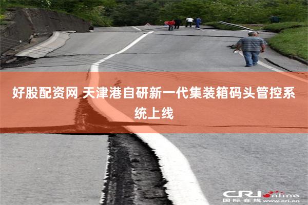 好股配资网 天津港自研新一代集装箱码头管控系统上线