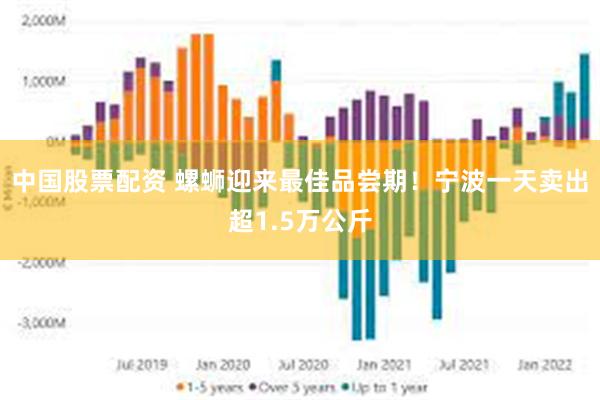 中国股票配资 螺蛳迎来最佳品尝期！宁波一天卖出超1.5万公斤