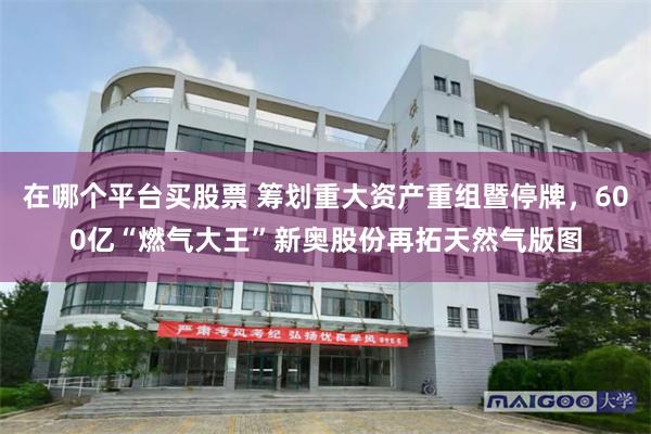 在哪个平台买股票 筹划重大资产重组暨停牌，600亿“燃气大王”新奥股份再拓天然气版图