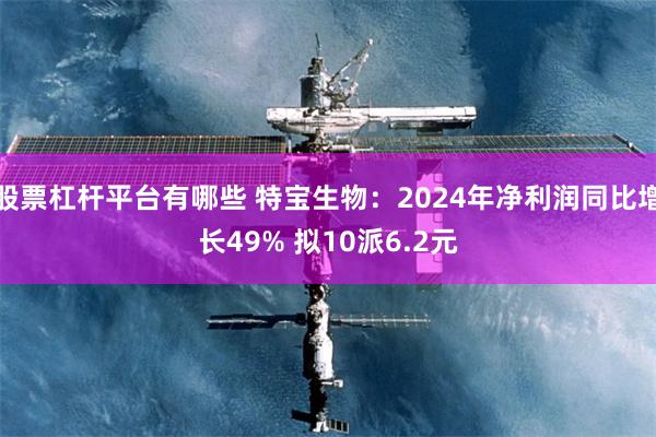 股票杠杆平台有哪些 特宝生物：2024年净利润同比增长49% 拟10派6.2元