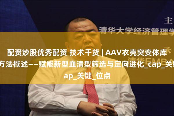 配资炒股优秀配资 技术干货 | AAV衣壳突变体库的构建方法概述——赋能新型血清型筛选与定向进化_cap_关键_位点