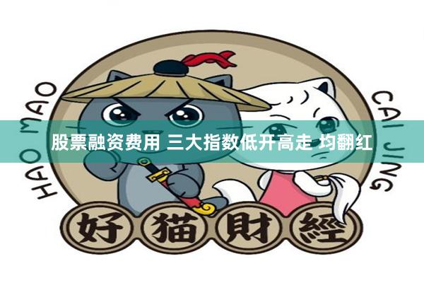 股票融资费用 三大指数低开高走 均翻红