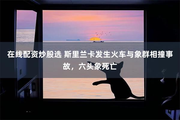 在线配资炒股选 斯里兰卡发生火车与象群相撞事故，六头象死亡