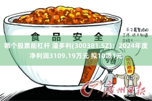 哪个股票能杠杆 溢多利(300381.SZ)：2024年度净利润3109.19万元 拟10派1元
