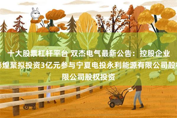 十大股票杠杆平台 双杰电气最新公告：控股企业上海泰煌聚拟投资3亿元参与宁夏电投永利能源有限公司股权投资