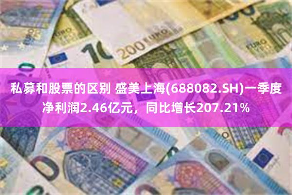 私募和股票的区别 盛美上海(688082.SH)一季度净利润2.46亿元，同比增长207.21%