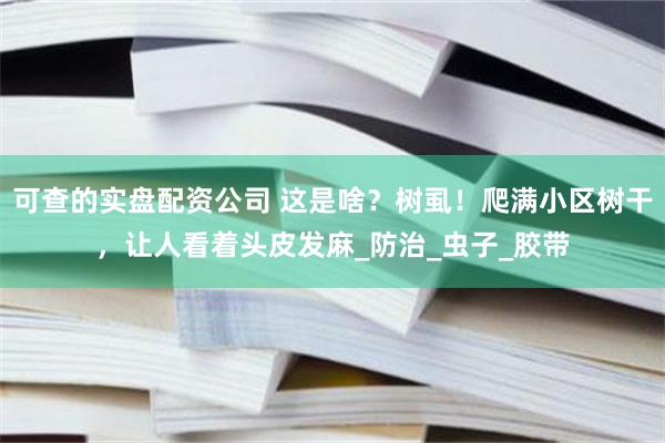 可查的实盘配资公司 这是啥？树虱！爬满小区树干，让人看着头皮发麻_防治_虫子_胶带