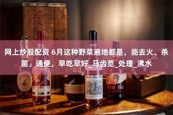 网上炒股配资 6月这种野菜遍地都是，能去火、杀菌、通便，早吃早好_马齿苋_处理_沸水