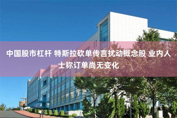 中国股市杠杆 特斯拉砍单传言扰动概念股 业内人士称订单尚无变化