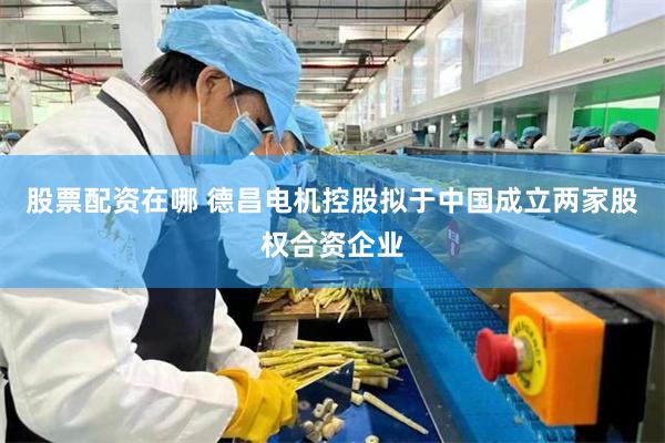 股票配资在哪 德昌电机控股拟于中国成立两家股权合资企业