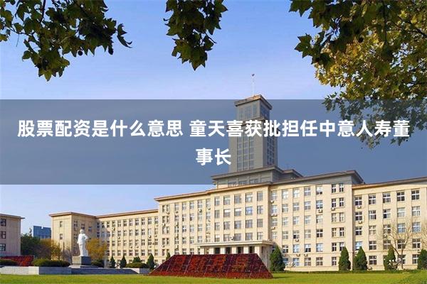 股票配资是什么意思 童天喜获批担任中意人寿董事长