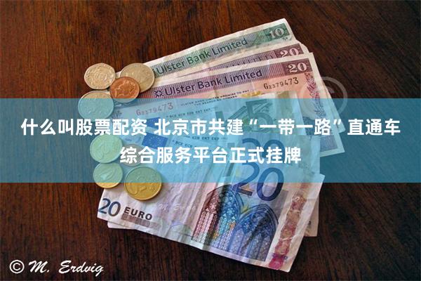 什么叫股票配资 北京市共建“一带一路”直通车综合服务平台正式挂牌