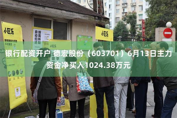 银行配资开户 德宏股份（603701）6月13日主力资金净买入1024.38万元