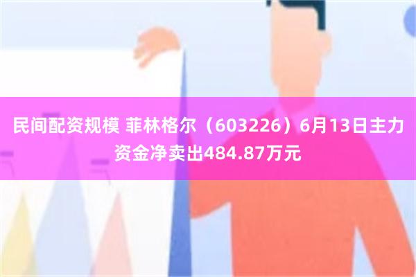 民间配资规模 菲林格尔（603226）6月13日主力资金净卖出484.87万元