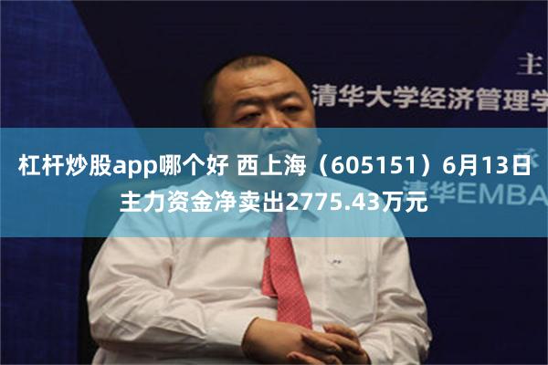 杠杆炒股app哪个好 西上海（605151）6月13日主力资金净卖出2775.43万元