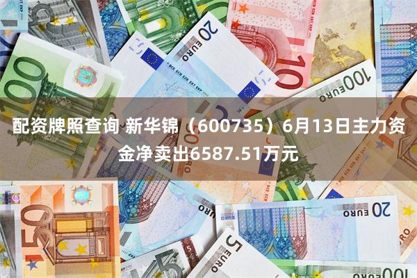 配资牌照查询 新华锦(600735)6月13日主力资金净卖出6587.51万元