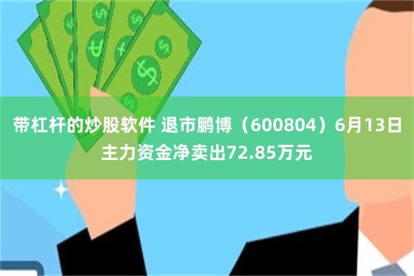 带杠杆的炒股软件 退市鹏博（600804）6月13日主力资金净卖出72.85万元