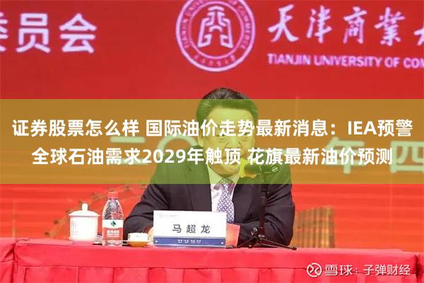 证券股票怎么样 国际油价走势最新消息：IEA预警全球石油需求2029年触顶 花旗最新油价预测