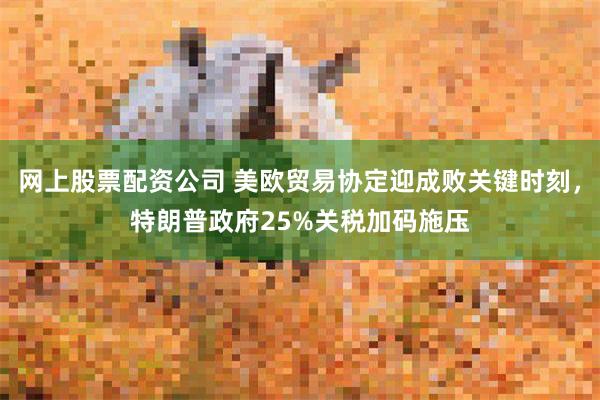 网上股票配资公司 美欧贸易协定迎成败关键时刻，特朗普政府25%关税加码施压