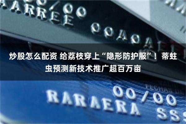 炒股怎么配资 给荔枝穿上“隐形防护服”！蒂蛀虫预测新技术推广超百万亩