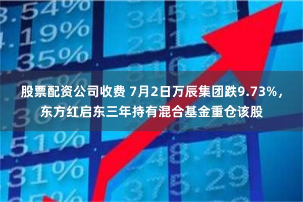 股票配资公司收费 7月2日万辰集团跌9.73%，东方红启东三年持有混合基金重仓该股