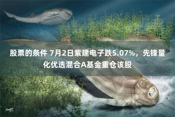 股票的条件 7月2日紫建电子跌5.07%，先锋量化优选混合A基金重仓该股