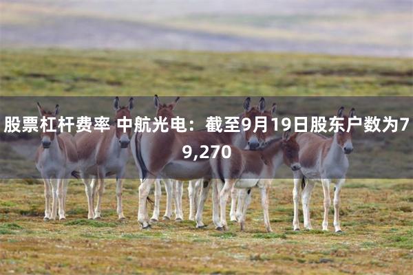 股票杠杆费率 中航光电：截至9月19日股东户数为79,270