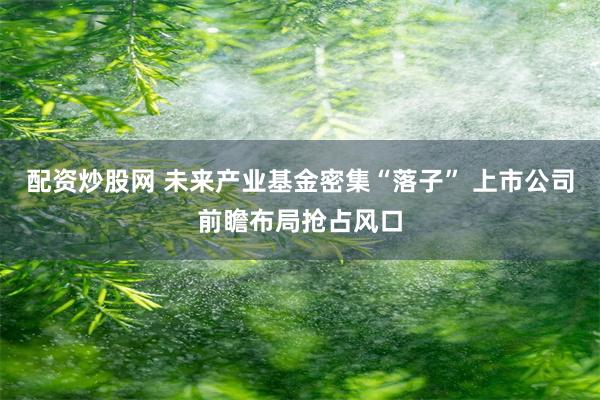 配资炒股网 未来产业基金密集“落子” 上市公司前瞻布局抢占风口