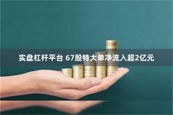 实盘杠杆平台 67股特大单净流入超2亿元