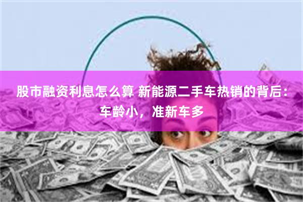 股市融资利息怎么算 新能源二手车热销的背后：车龄小，准新车多