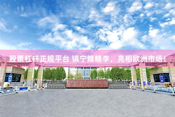 股票杠杆正规平台 镇宁蜂糖李，亮相欧洲市场！