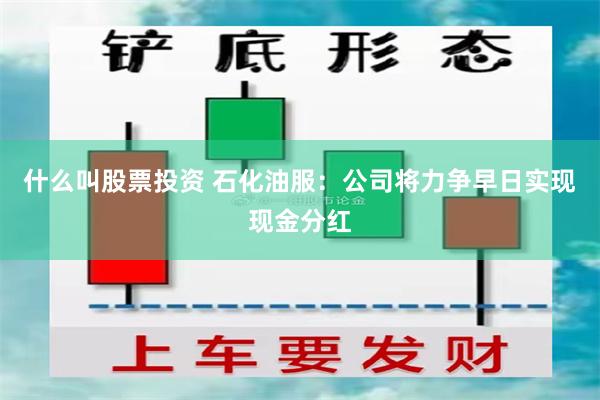 什么叫股票投资 石化油服：公司将力争早日实现现金分红