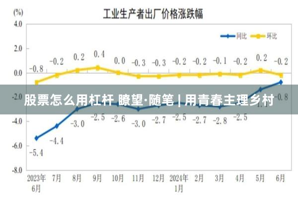 股票怎么用杠杆 瞭望·随笔 | 用青春主理乡村