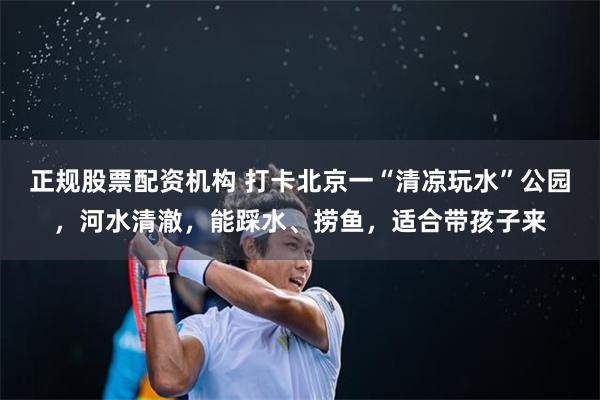 正规股票配资机构 打卡北京一“清凉玩水”公园，河水清澈，能踩水、捞鱼，适合带孩子来