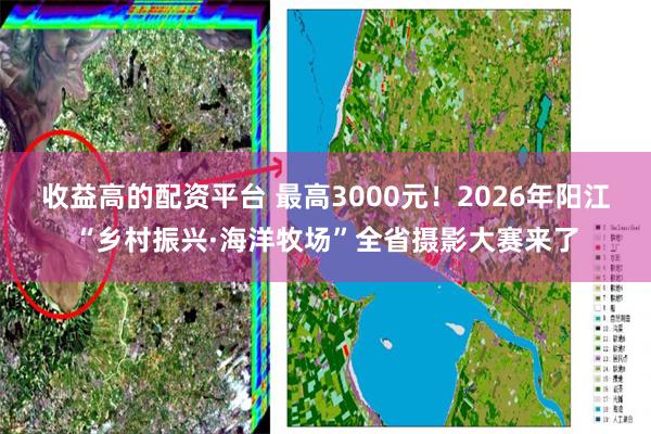 收益高的配资平台 最高3000元！2026年阳江“乡村振兴·海洋牧场”全省摄影大赛来了
