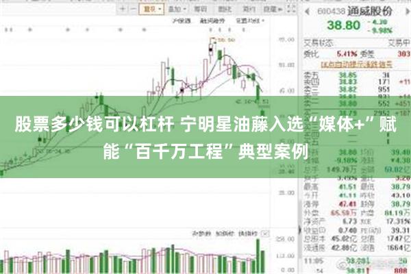 股票多少钱可以杠杆 宁明星油藤入选“媒体+”赋能“百千万工程”典型案例