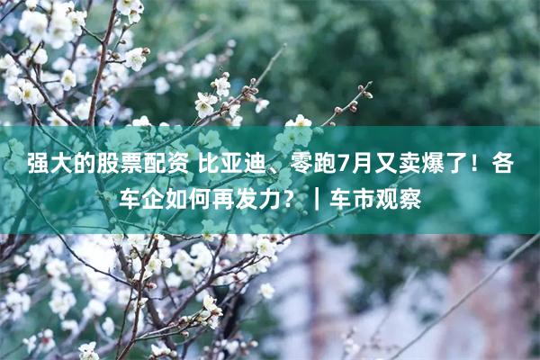 强大的股票配资 比亚迪、零跑7月又卖爆了!各车企如何再发力?|车市观察