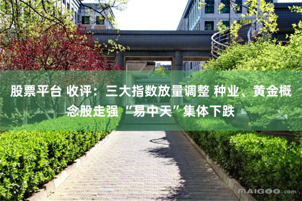 股票平台 收评：三大指数放量调整 种业、黄金概念股走强 “易中天”集体下跌