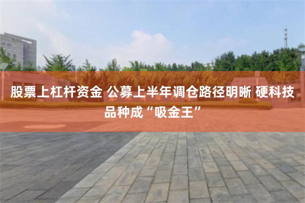 股票上杠杆资金 公募上半年调仓路径明晰 硬科技品种成“吸金王”