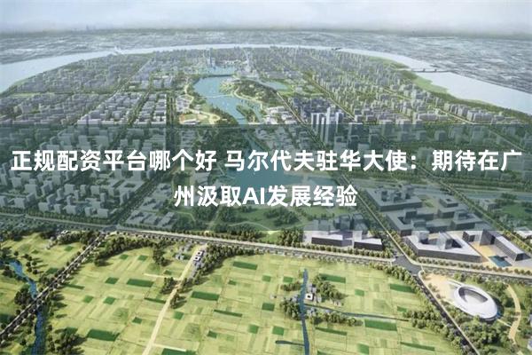 正规配资平台哪个好 马尔代夫驻华大使：期待在广州汲取AI发展经验
